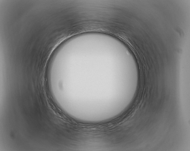 X0000113850579200909241007