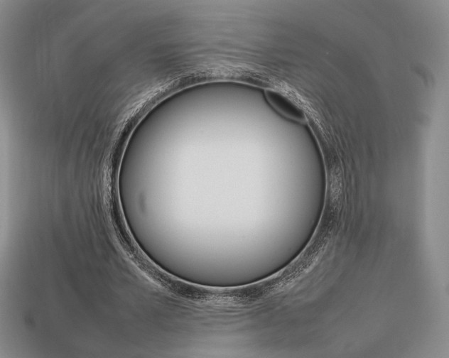 X0000113850581200909241007