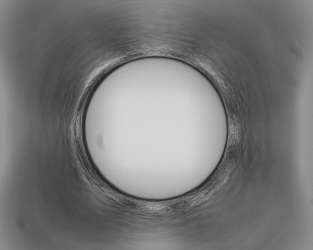 X0000113850583200909241007