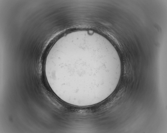 X0000113850584200909241007