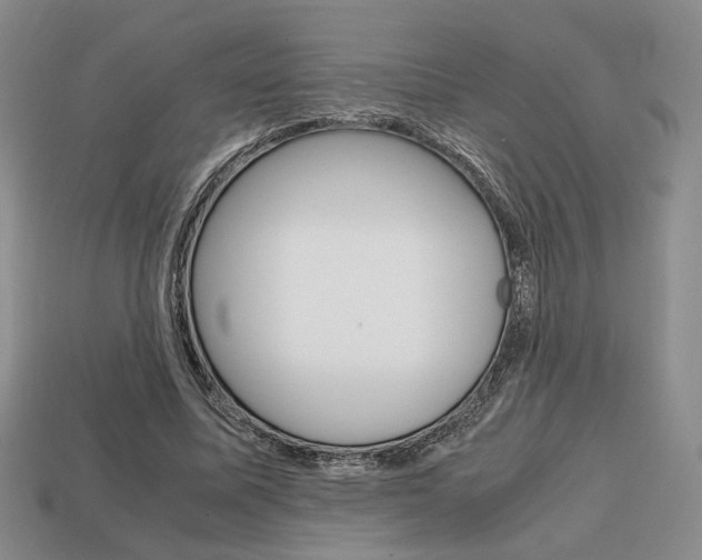 X0000113850587200909241007