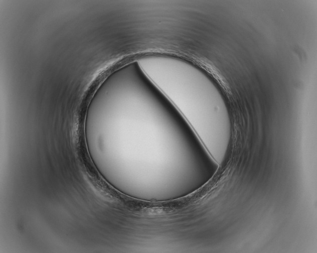 X0000113850588200909241007