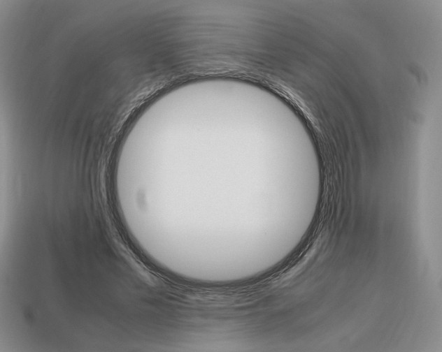 X0000113850589200909241007