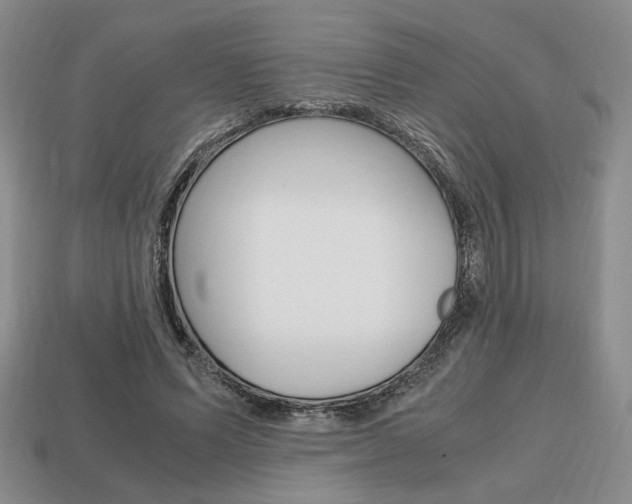 X0000113850591200909241007