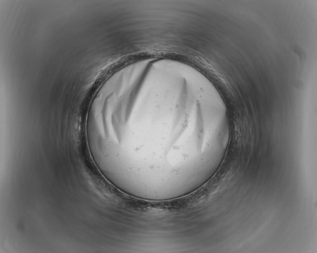 X0000113850592200909241007