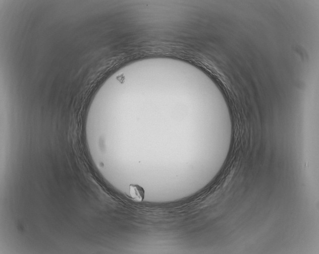 X0000113850593200909241007