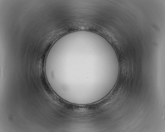 X0000113850594200909241007