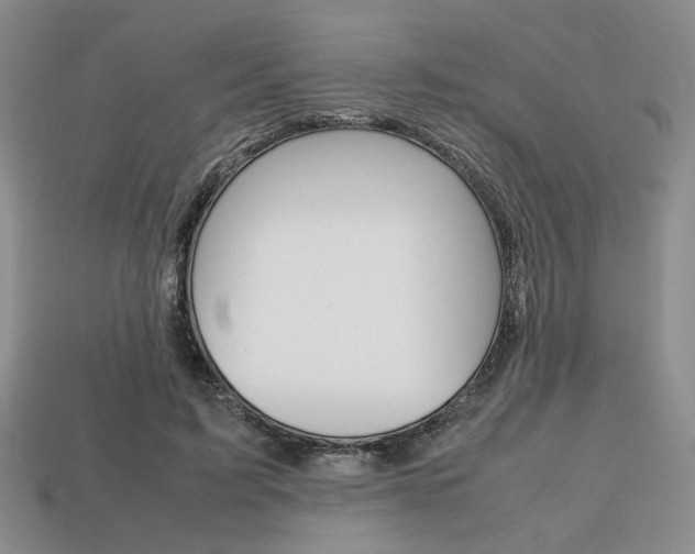 X0000113850595200909241007