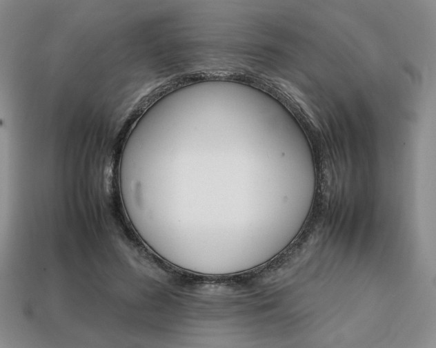 X0000113850596200909241007