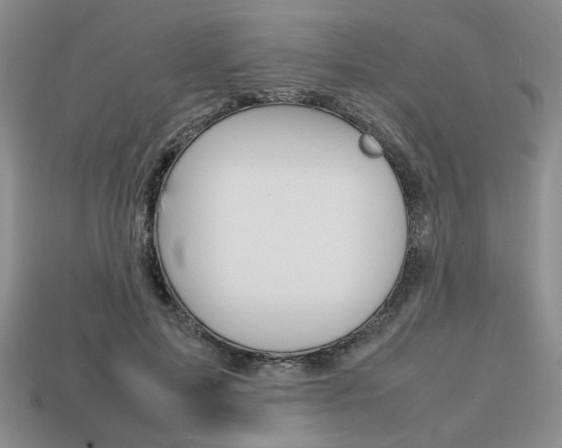X0000113850599200909241007