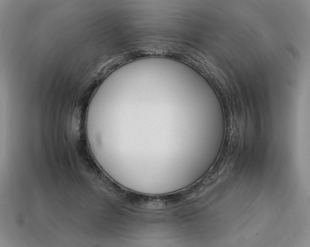 X0000113850600200909241006