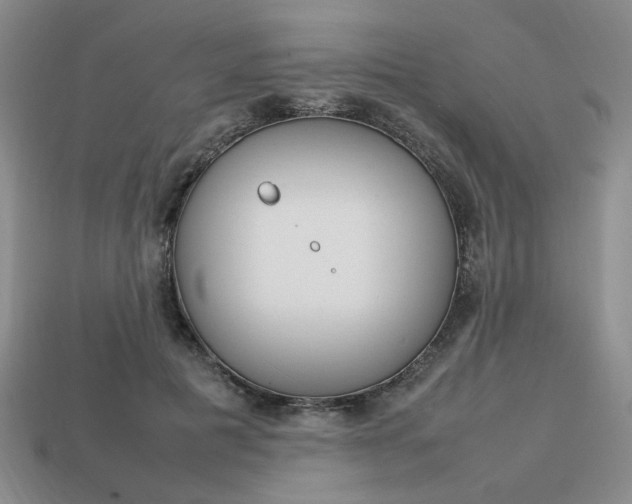 X0000113850601200909241006