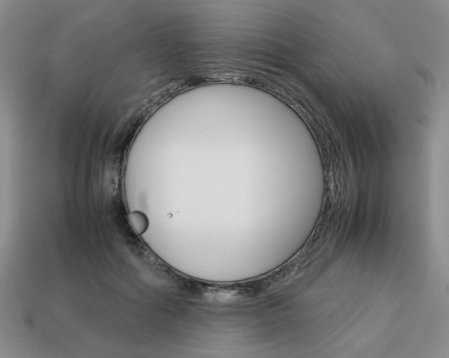 X0000113850602200909241006