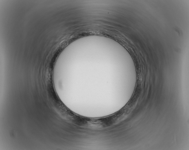 X0000113850603200909241006