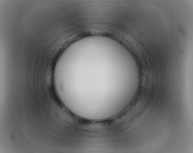 X0000113850604200909241006