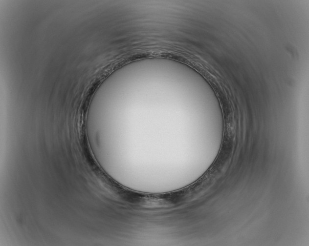 X0000113850605200909241006