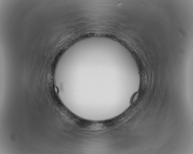 X0000113850609200909241006