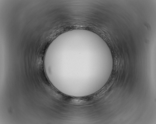 X0000113850614200909241006