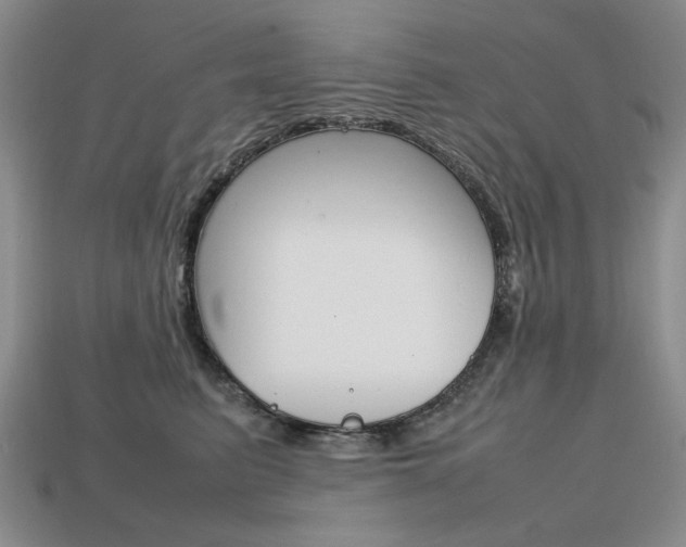 X0000113850615200909241006