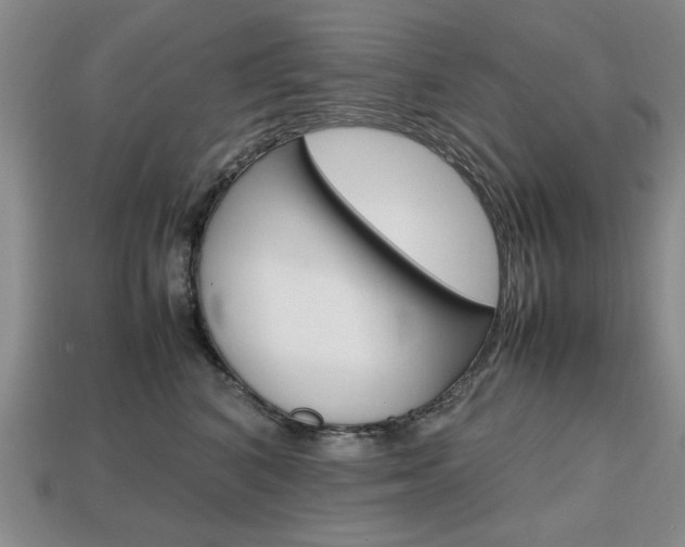 X0000113850616200909241006