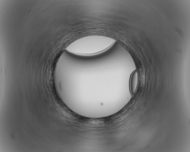 X0000113850619200909241006