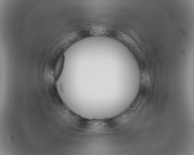 X0000113850621200909241006