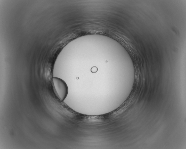 X0000113850622200909241006