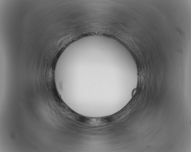 X0000113850623200909241006