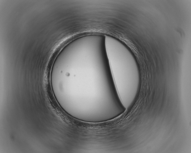 X0000113850628200909241006