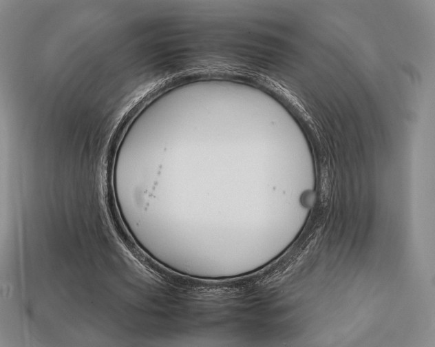 X0000113850629200909241006