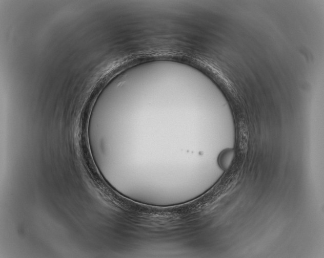 X0000113850631200909241006