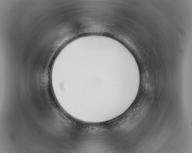 X0000113850632200909241006