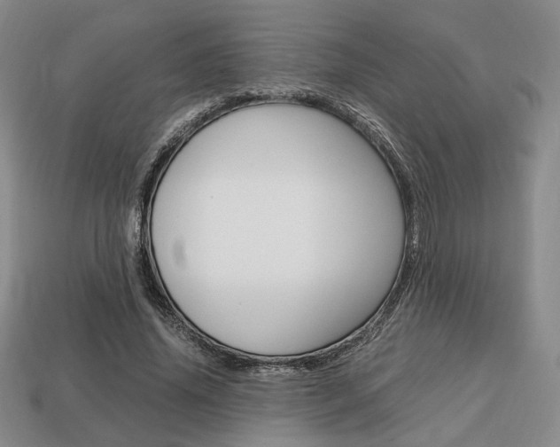 X0000113850636200909241006