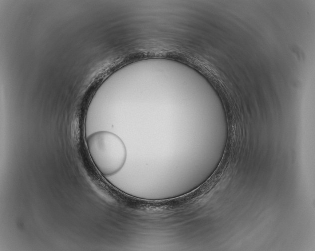 X0000113850638200909241006