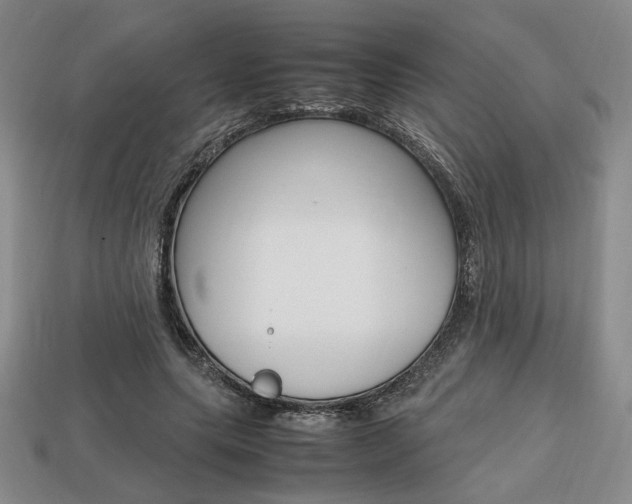 X0000113850639200909241006