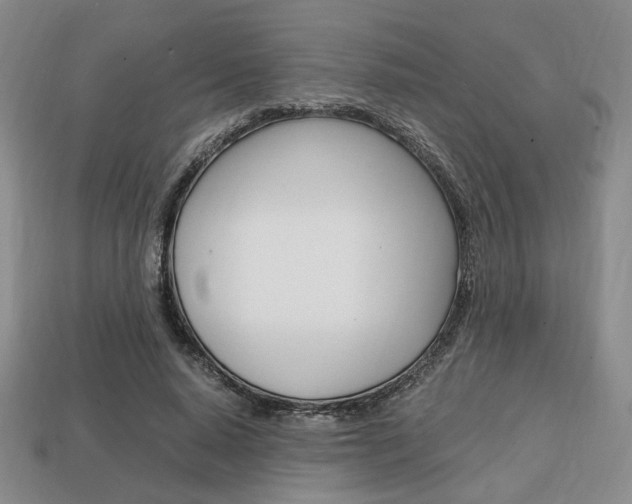 X0000113850640200909241006