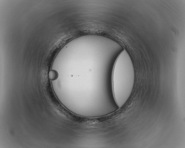 X0000113850642200909241006