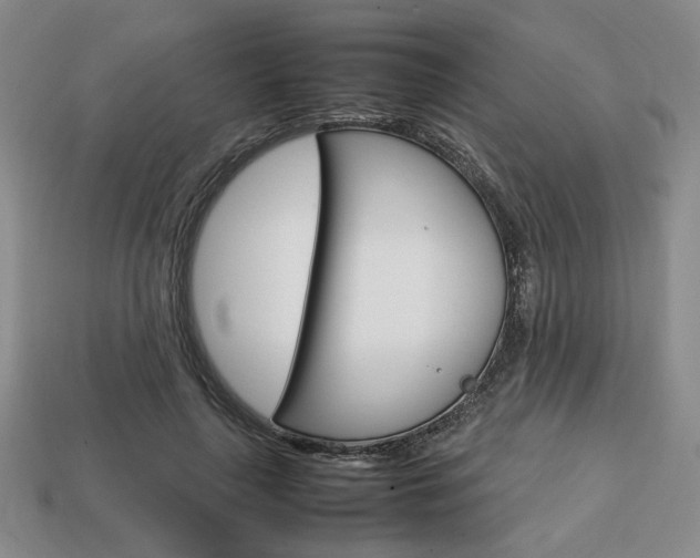 X0000113850643200909241006