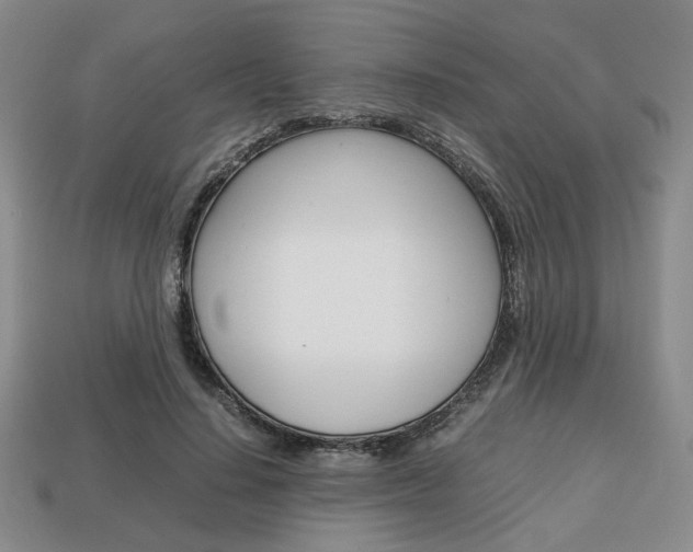 X0000113850644200909241006