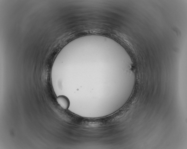 X0000113850645200909241006