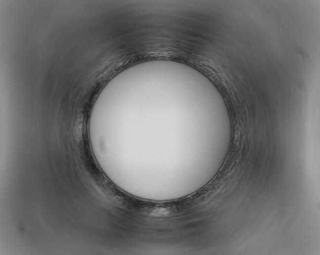 X0000113850647200909241006