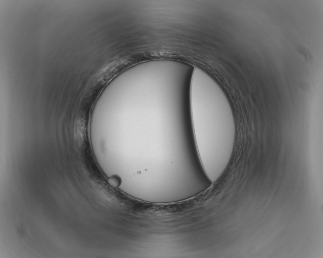 X0000113850648200909241006