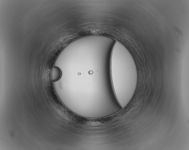 X0000113850650200909241006
