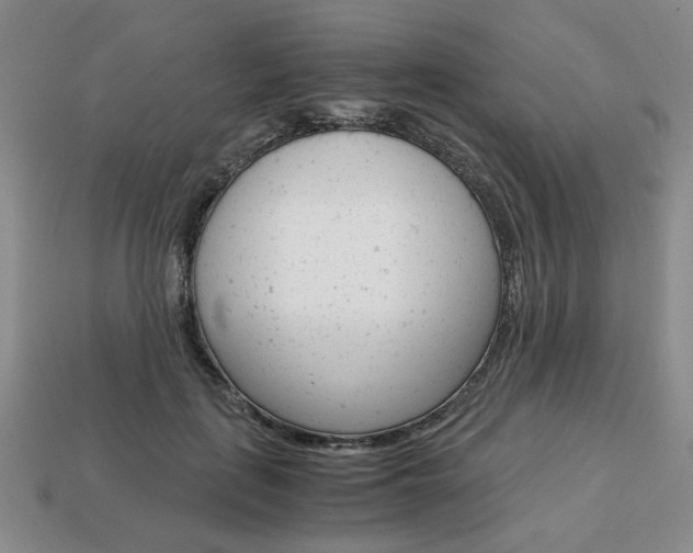 X0000113850651200909241006