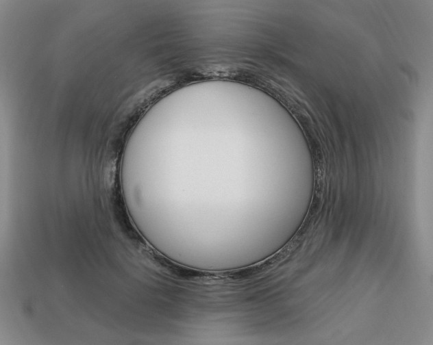 X0000113850652200909241006