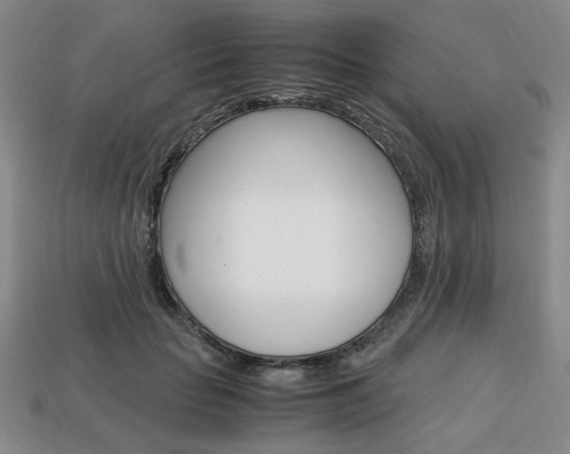 X0000113850653200909241006
