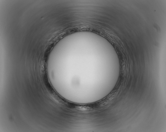 X0000113850654200909241006
