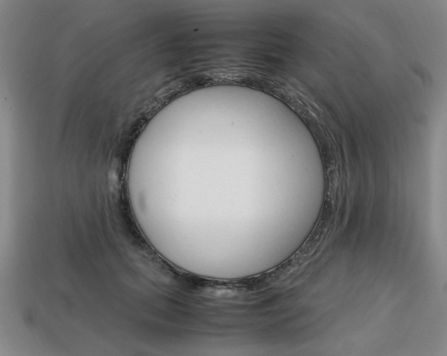 X0000113850655200909241006