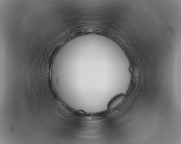 X0000113850657200909241006