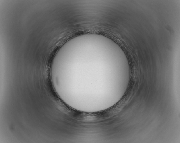 X0000113850658200909241006